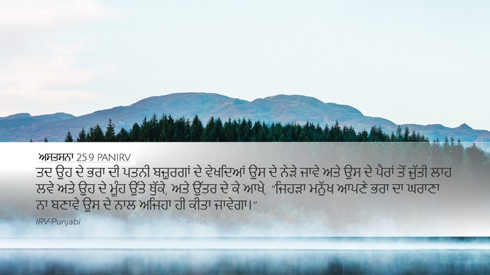 ਅਸਤਸਨਾ 25:9 PANIRV Bible Verse Image