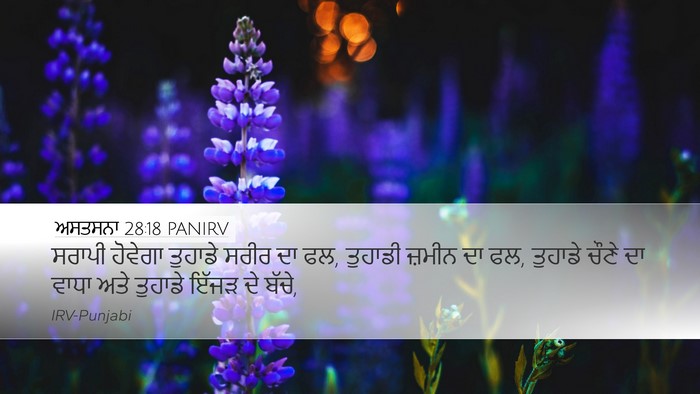 ਅਸਤਸਨਾ 28:18 PANIRV Bible Verse Image