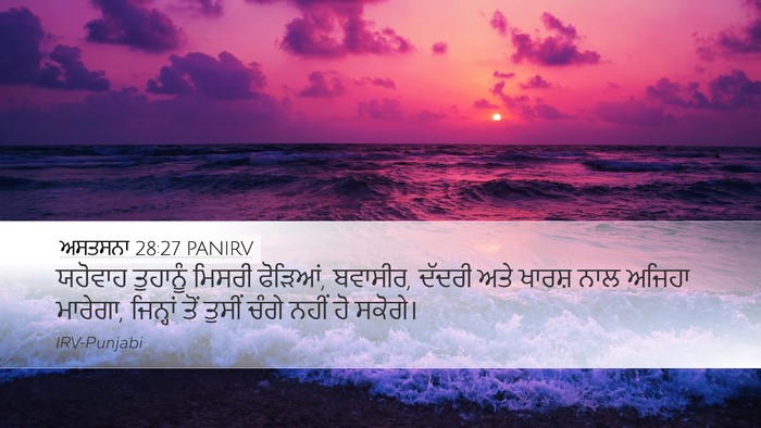 ਅਸਤਸਨਾ 28:27 PANIRV Bible Verse Image