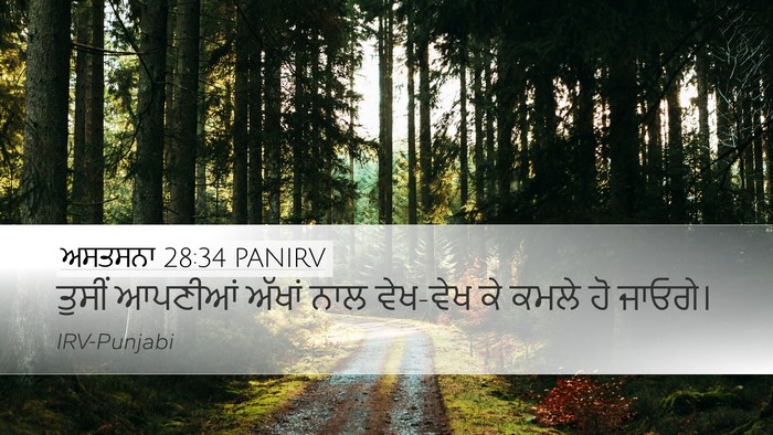 ਅਸਤਸਨਾ 28:34 PANIRV Bible Verse Image