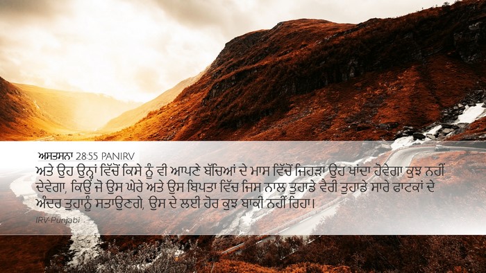ਅਸਤਸਨਾ 28:55 PANIRV Bible Verse Image