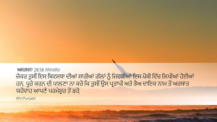 ਅਸਤਸਨਾ 28:58 PANIRV Bible Verse Image