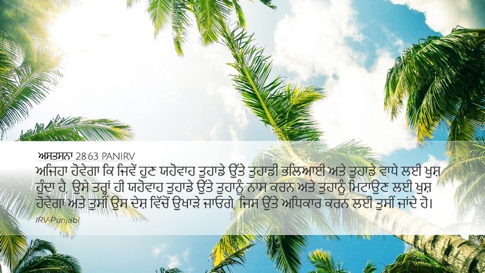 ਅਸਤਸਨਾ 28:63 PANIRV Bible Verse Image