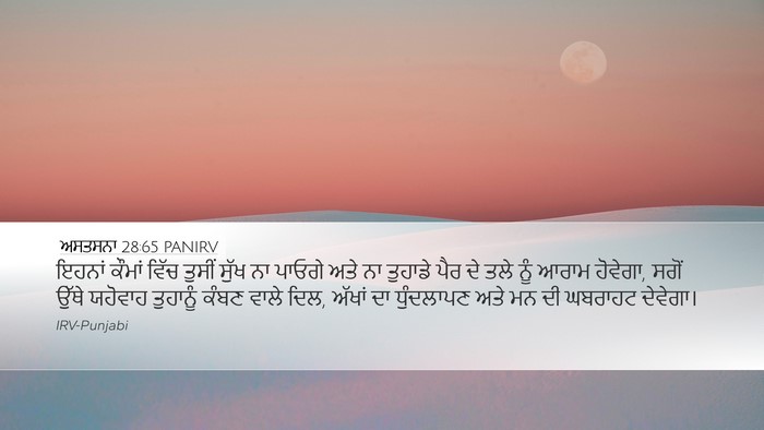 ਅਸਤਸਨਾ 28:65 PANIRV Bible Verse Image