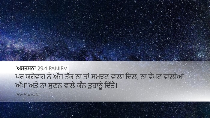 ਅਸਤਸਨਾ 29:4 PANIRV Bible Verse Image