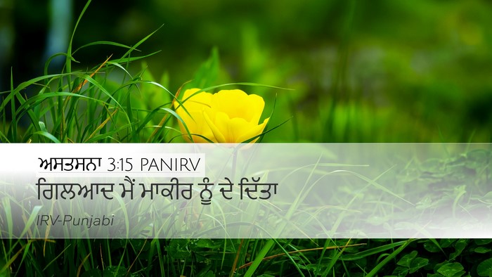 ਅਸਤਸਨਾ 3:15 PANIRV Bible Verse Image