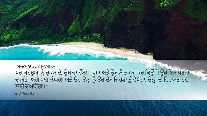 ਅਸਤਸਨਾ 3:28 PANIRV Bible Verse Image