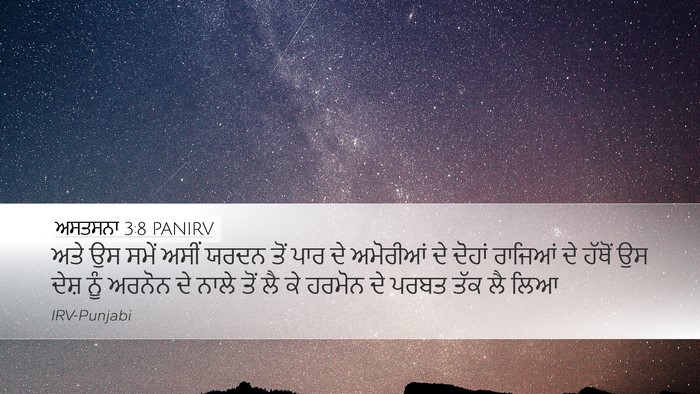 ਅਸਤਸਨਾ 3:8 PANIRV Bible Verse Image