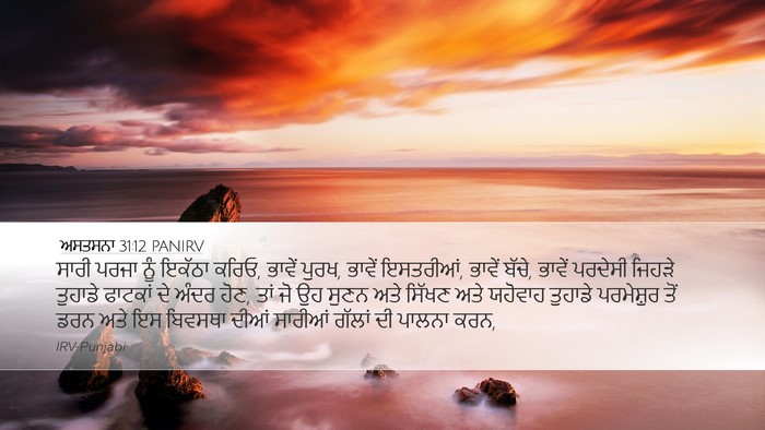ਅਸਤਸਨਾ 31:12 PANIRV Bible Verse Image