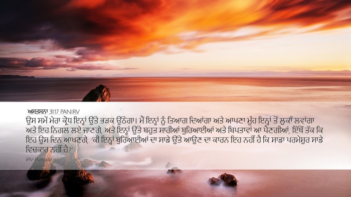 ਅਸਤਸਨਾ 31:17 PANIRV Bible Verse Image