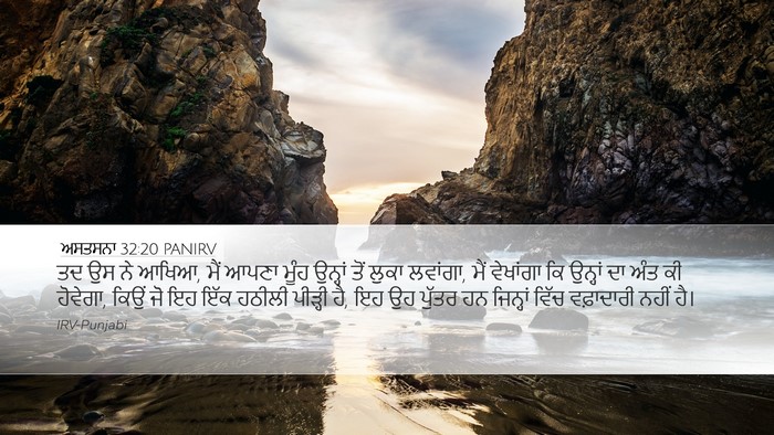 ਅਸਤਸਨਾ 32:20 PANIRV Bible Verse Image