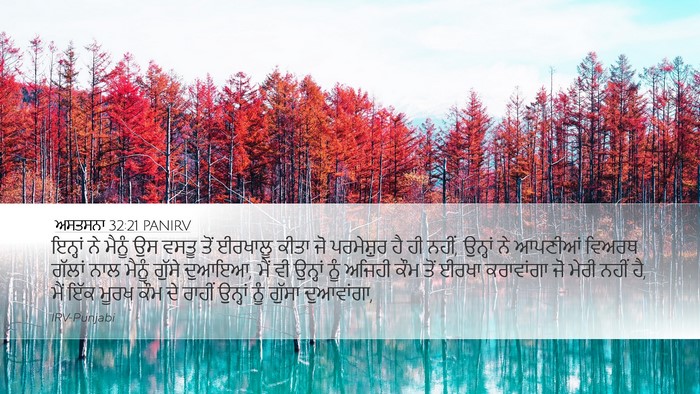 ਅਸਤਸਨਾ 32:21 PANIRV Bible Verse Image