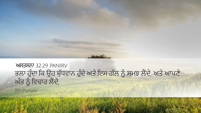 ਅਸਤਸਨਾ 32:29 PANIRV Bible Verse Image