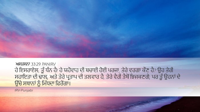 ਅਸਤਸਨਾ 33:29 PANIRV Bible Verse Image