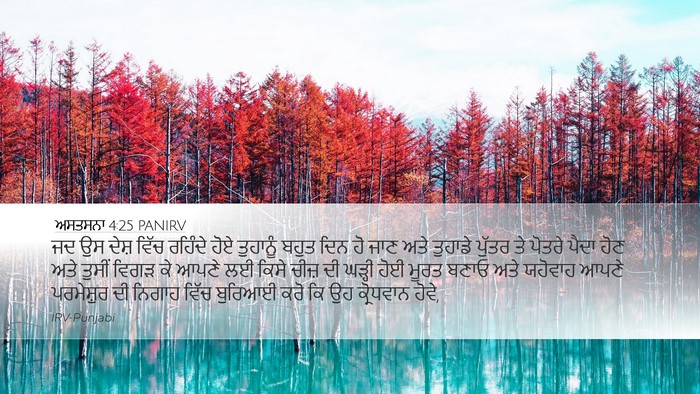 ਅਸਤਸਨਾ 4:25 PANIRV Bible Verse Image