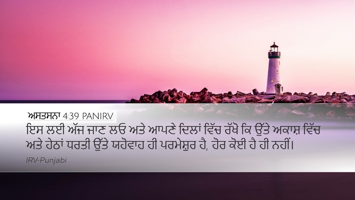 ਅਸਤਸਨਾ 4:39 PANIRV Bible Verse Image