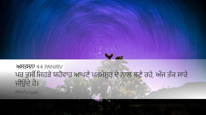 ਅਸਤਸਨਾ 4:4 PANIRV Bible Verse Image