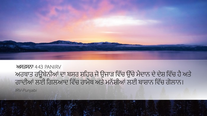 ਅਸਤਸਨਾ 4:43 PANIRV Bible Verse Image