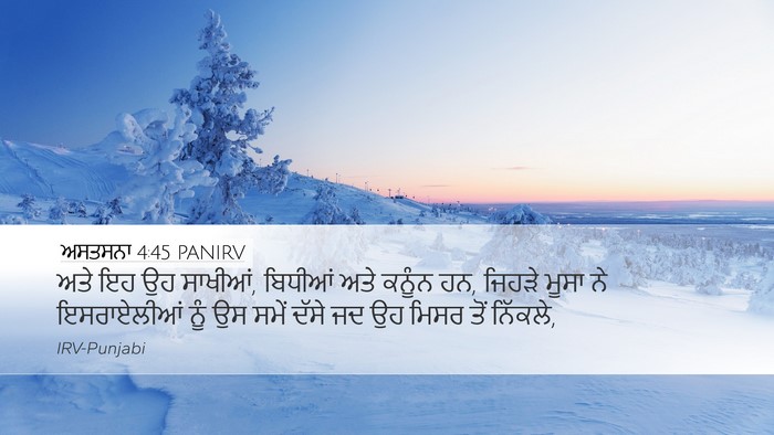 ਅਸਤਸਨਾ 4:45 PANIRV Bible Verse Image