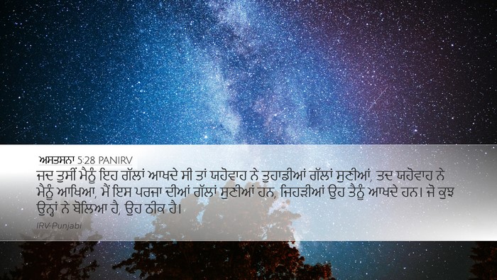 ਅਸਤਸਨਾ 5:28 PANIRV Bible Verse Image