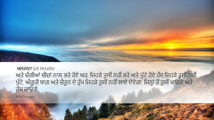 ਅਸਤਸਨਾ 6:11 PANIRV Bible Verse Image