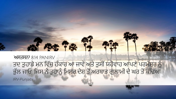 ਅਸਤਸਨਾ 8:14 PANIRV Bible Verse Image