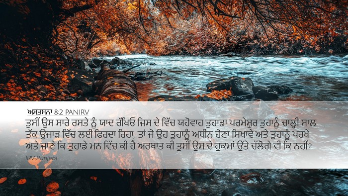 ਅਸਤਸਨਾ 8:2 PANIRV Bible Verse Image