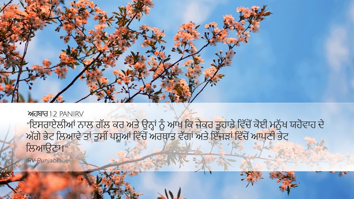 ਅਹਬਾਰ 1:2 PANIRV Desktop Wallpaper - “ਇਸਰਾਏਲੀਆਂ ਨਾਲ - Desktop Bible Verse Wallpaper