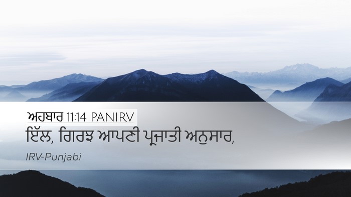 ਅਹਬਾਰ 11:14 PANIRV Desktop Wallpaper - ਇੱਲ, ਗਿਰਝ ਆਪਣੀ - Desktop Bible Verse Wallpaper