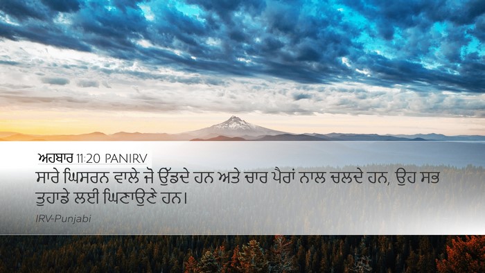 ਅਹਬਾਰ 11:20 PANIRV Bible Verse Image