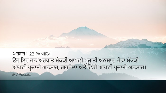ਅਹਬਾਰ 11:22 PANIRV Bible Verse Image