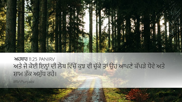 ਅਹਬਾਰ 11:25 PANIRV Bible Verse Image