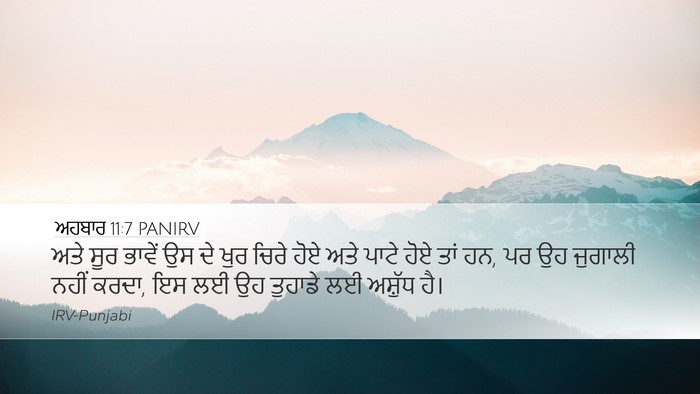 ਅਹਬਾਰ 11:7 PANIRV Bible Verse Image