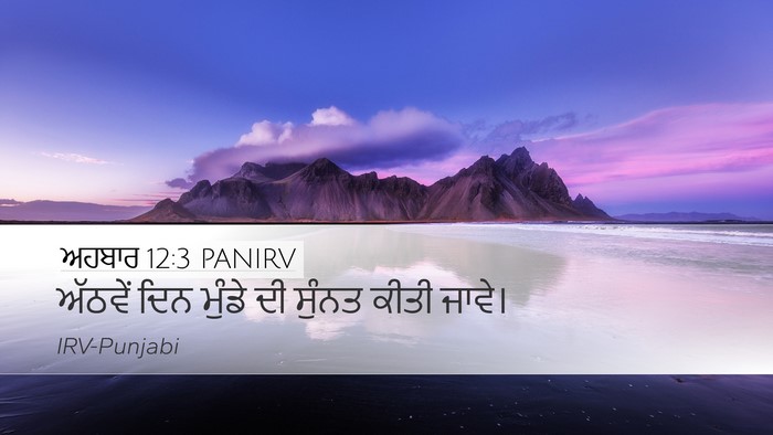 ਅਹਬਾਰ 12:3 PANIRV Bible Verse Image