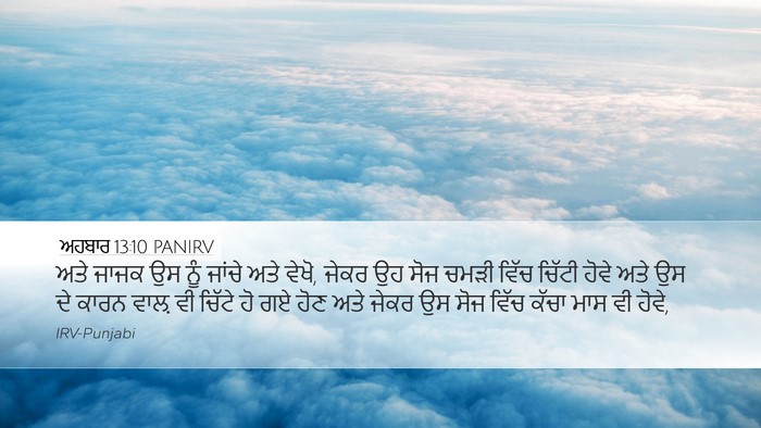 ਅਹਬਾਰ 13:10 PANIRV Desktop Wallpaper - ਅਤੇ ਜਾਜਕ ਉਸ ਨੂੰ - Desktop Bible Verse Wallpaper