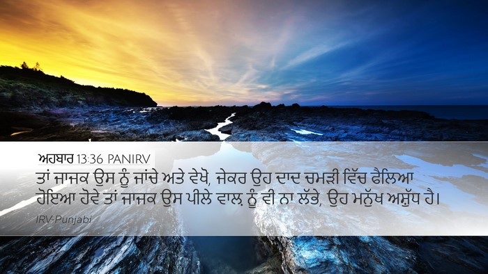 ਅਹਬਾਰ 13:36 PANIRV Bible Verse Image