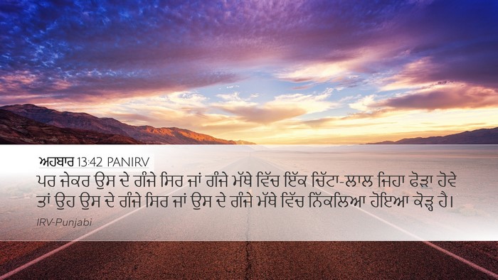 ਅਹਬਾਰ 13:42 PANIRV Desktop Wallpaper - ਪਰ ਜੇਕਰ ਉਸ ਦੇ ਗੰਜੇ - Desktop Bible Verse Wallpaper