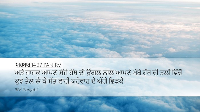 ਅਹਬਾਰ 14:27 PANIRV Bible Verse Image