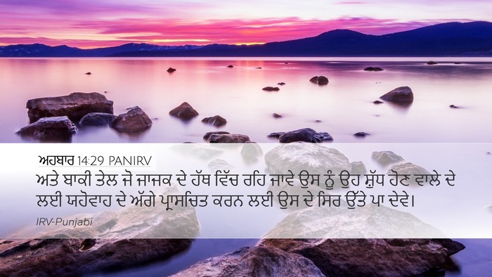 ਅਹਬਾਰ 14:29 PANIRV Desktop Wallpaper - ਅਤੇ ਬਾਕੀ ਤੇਲ ਜੋ - Desktop Bible Verse Wallpaper