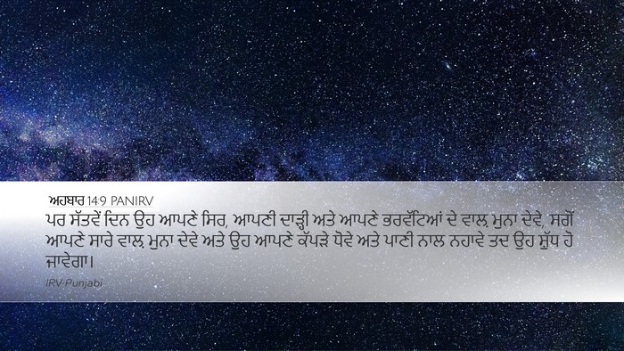 ਅਹਬਾਰ 14:9 PANIRV Bible Verse Image