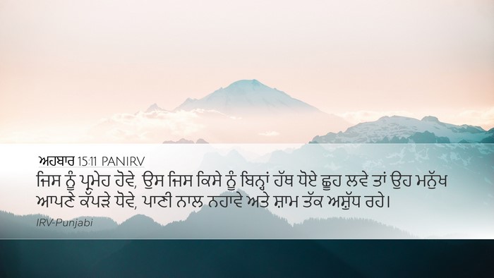 ਅਹਬਾਰ 15:11 PANIRV Bible Verse Image