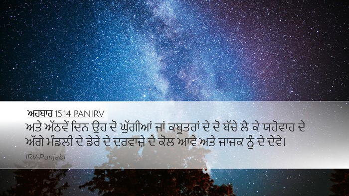 ਅਹਬਾਰ 15:14 PANIRV Bible Verse Image
