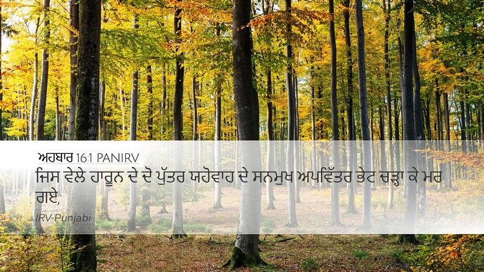 ਅਹਬਾਰ 16:1 PANIRV Bible Verse Image