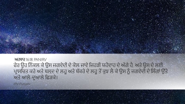ਅਹਬਾਰ 16:18 PANIRV Bible Verse Image