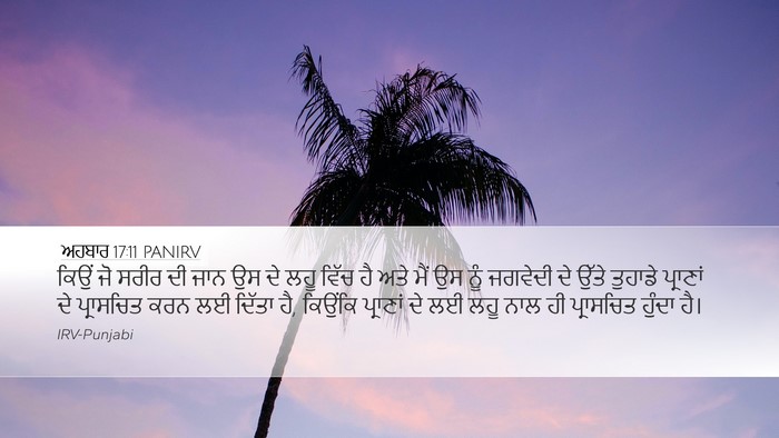 ਅਹਬਾਰ 17:11 PANIRV Bible Verse Image