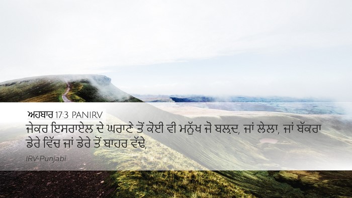 ਅਹਬਾਰ 17:3 PANIRV Desktop Wallpaper - ਜੇਕਰ ਇਸਰਾਏਲ ਦੇ - Desktop Bible Verse Wallpaper
