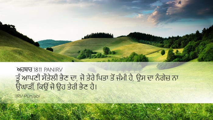 ਅਹਬਾਰ 18:11 PANIRV Bible Verse Image