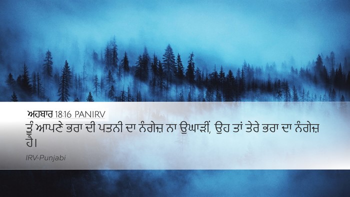 ਅਹਬਾਰ 18:16 PANIRV Bible Verse Image