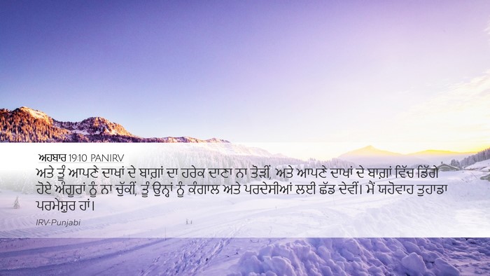ਅਹਬਾਰ 19:10 PANIRV Bible Verse Image
