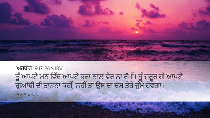 ਅਹਬਾਰ 19:17 PANIRV Bible Verse Image
